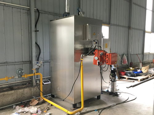 d級蒸汽鍋爐需要報備嗎